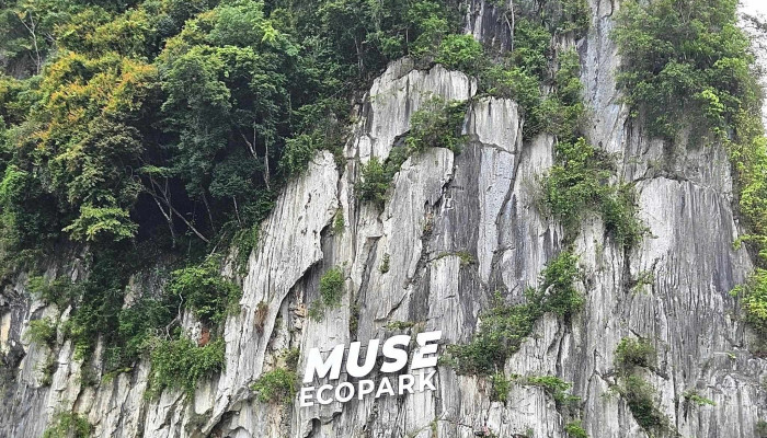Muse Ecopark -  Ulasan - Gua Musang