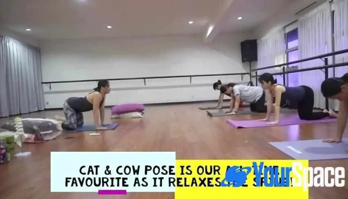 Namu Yoga Studio Ipoh -  Video - Chemor