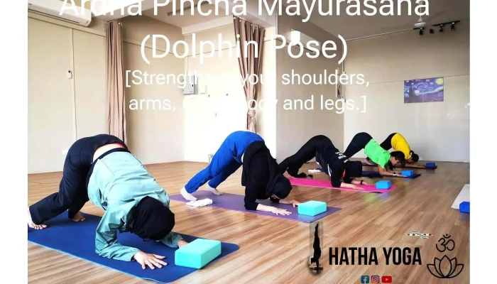 Ny Yoga Wellness -  Yoga - Rawang