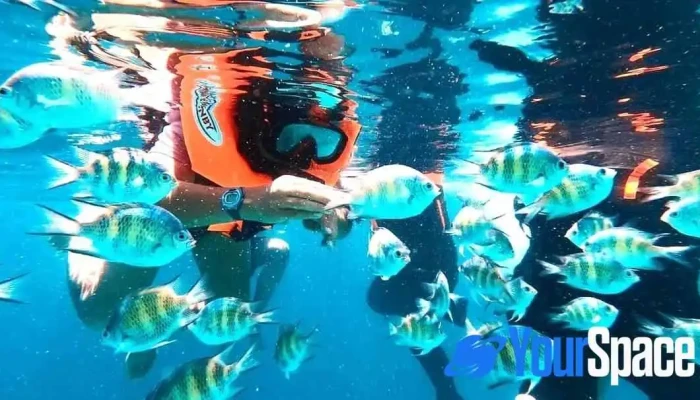Pakej Pulau Semporna - Jln Bangau Bangau