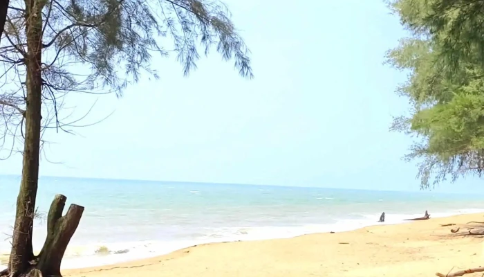 Pantai Teluk Mak Nik -  Kawasan - Chukai