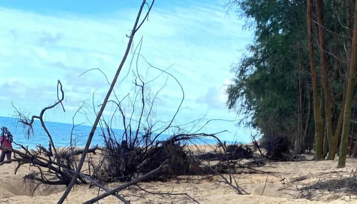 Pantai Teluk Mak Nik -  Ulasan - Chukai