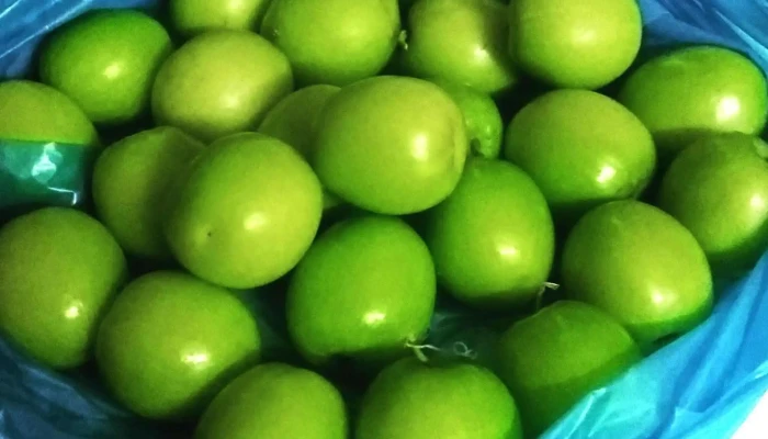 Pasar Malam Sungai Ara -  Kawasan - Bayan Lepas