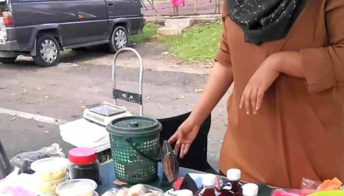 Pekan Sehari Temerloh -  Cara Ke Sana - Temerloh