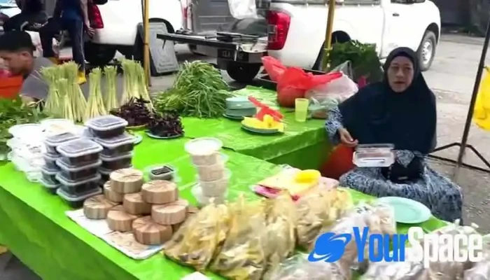 Pekan Sehari Temerloh -  Video - Temerloh