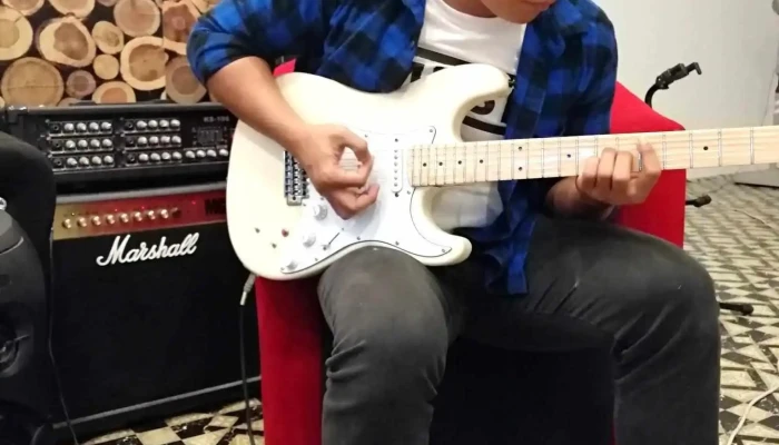 Phc Majestic Guitarworks - Jln Eco Majestic 9/1b