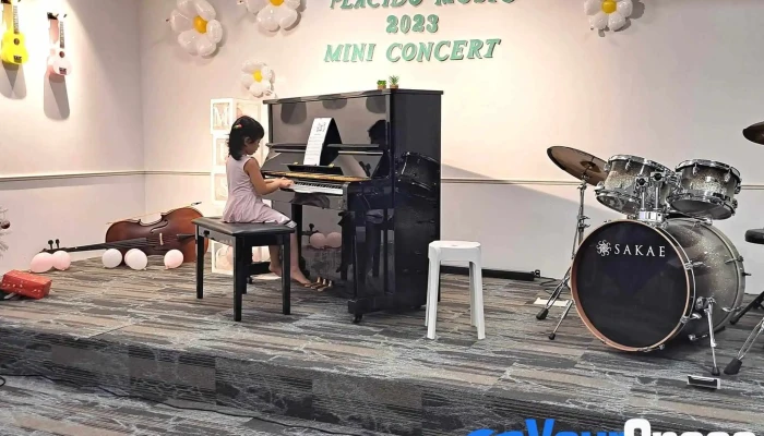 Placido Music Academy - Jalan Ecohill 1/5b