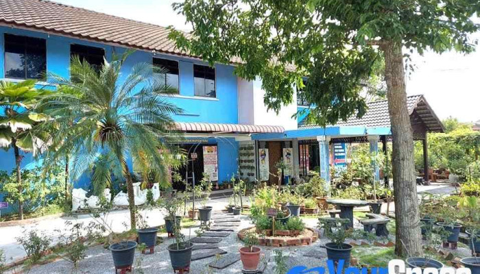 Pondok Rawatan Nusantara Thb Academy Oleh Pemilik - Kepala Batas