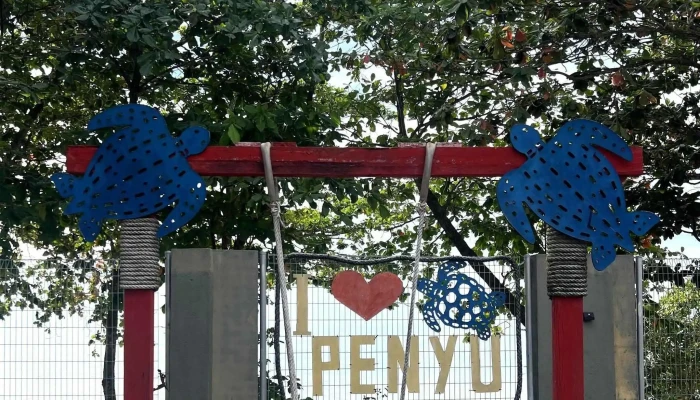 Pusat Konservasi Dan Penerangan Penyu Pkpp Segari Kawasan - Lumut