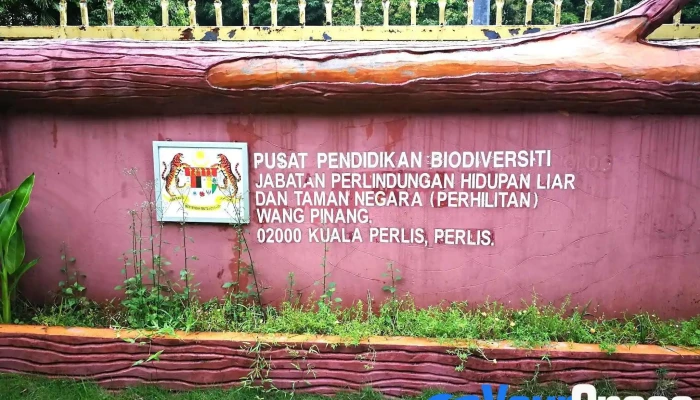 Pusat Pendidikan Biodiversiti Wang Pinang - 02000