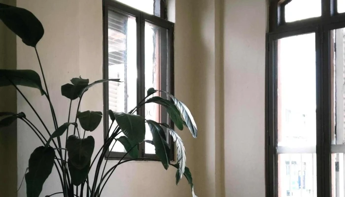 Q Yoga Georgetown -  Katalog - George Town