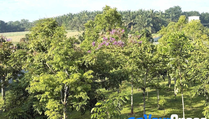 Right Path Meditation Center -  Terkini - Kulai