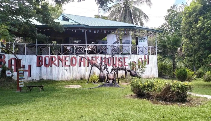 Rumah Semut Borneo -  Nombor - Tuaran