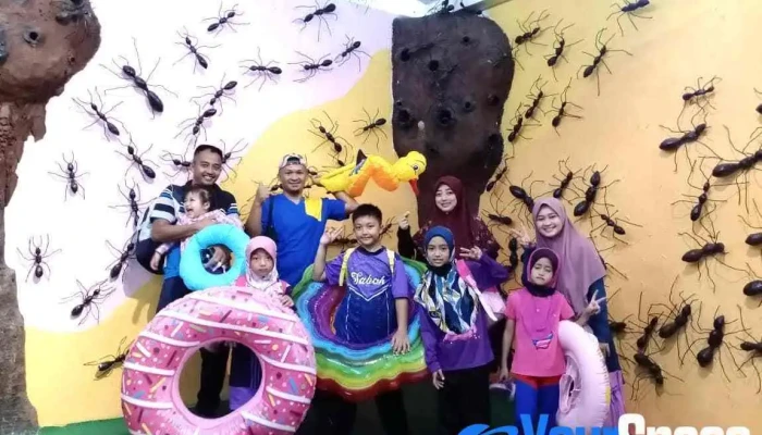 Rumah Semut Borneo -  Oleh Pemilik - Tuaran