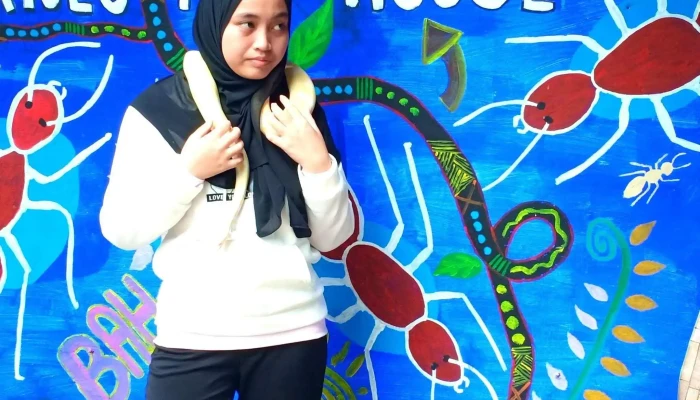 Rumah Semut Borneo - Tuaran