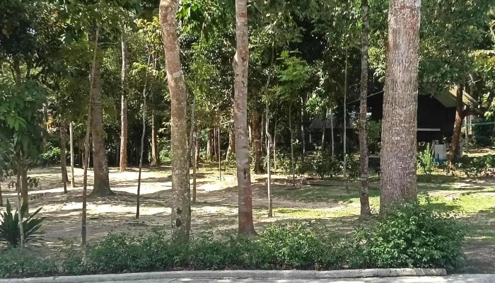 Santi Forest Monastery -  Instagram - Ulu Tiram
