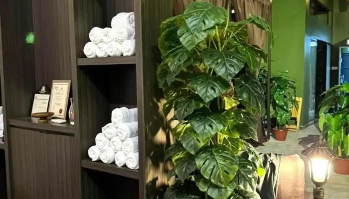 Secourra Spa - Jalan Utama 3/4