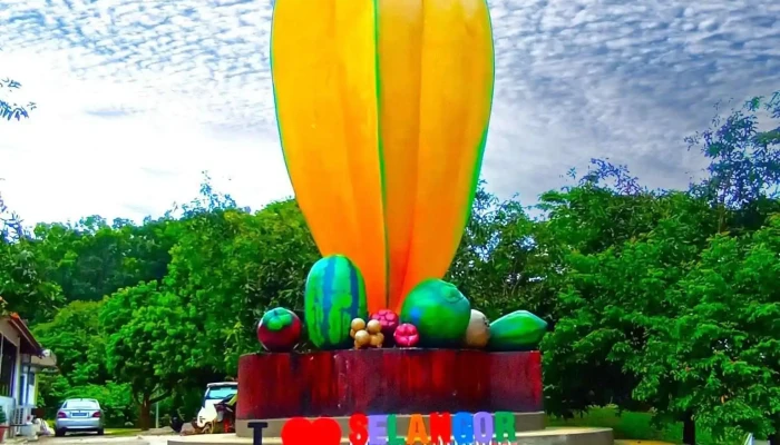 Selangor Fruit Valley Sfv Oleh Pemilik - Batang Berjuntai