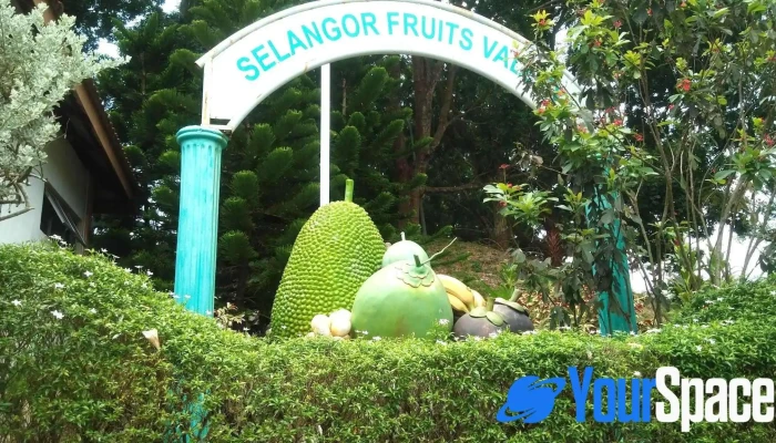 Selangor Fruit Valley Sfv Tempat Tarikan Pelancong - Batang Berjuntai