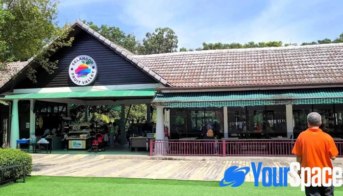 Selangor Fruit Valley Sfv Video - Batang Berjuntai