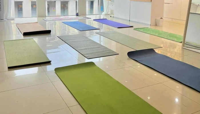 Seven Junction Yoga Wellness Oleh Pemilik - Subang Jaya