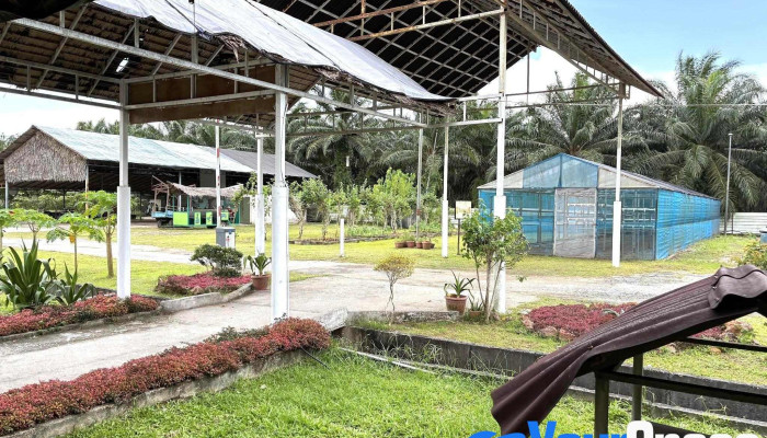 Sinar Eco Resort -  Daripada Pelawat - Pontian