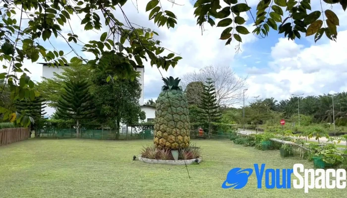 Sinar Eco Resort -  Video - Pontian
