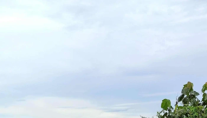 Start Point Bukit Senaling Hiking Trail -  Buka Sekarang - Kuala Pilah