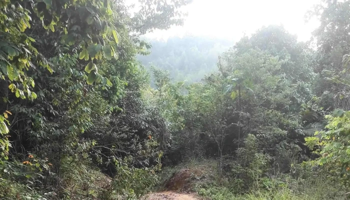 Start Point Bukit Senaling Hiking Trail -  Kawasan - Kuala Pilah