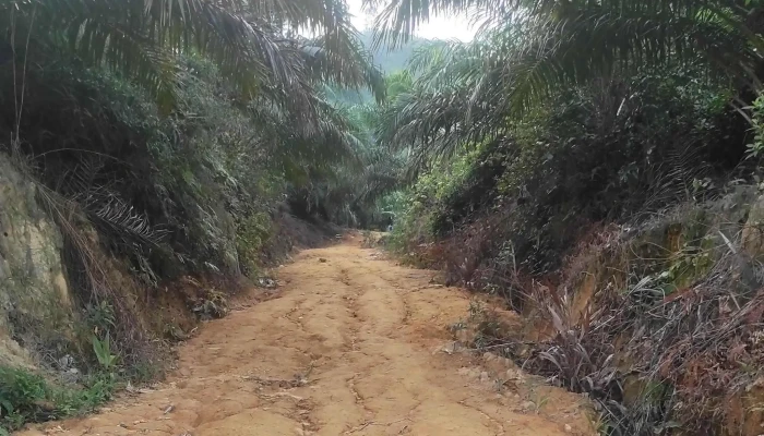 Start Point Bukit Senaling Hiking Trail -  Promosi - Kuala Pilah