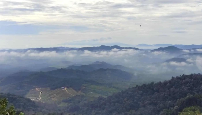 Start Point Bukit Senaling Hiking Trail -  Skor - Kuala Pilah