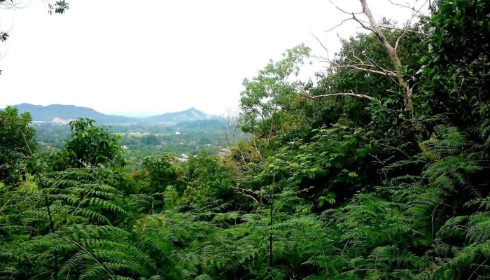Starting Trail Bukit Bendera Kg Dambai Papar Laman Web - Papar