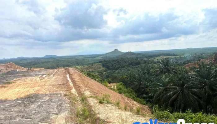 Sunrise Farm -  Terkini - Segamat