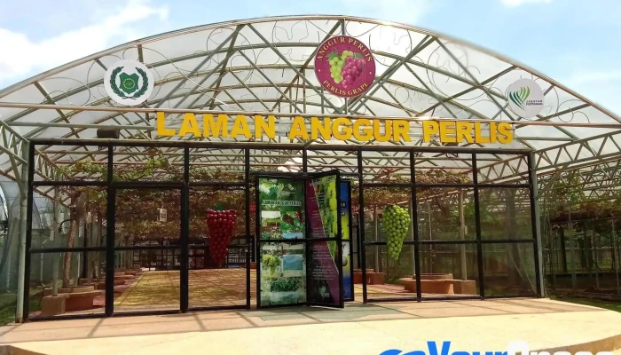Taman Anggur Perlis - Kampung Lembah Tuwi