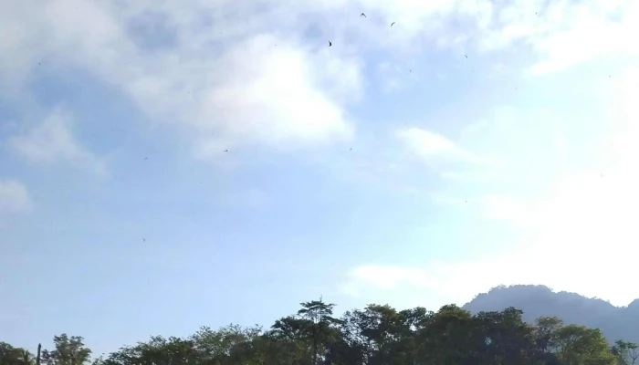 Taman Tasik Gua Musang -  Berdekatan Saya - Gua Musang