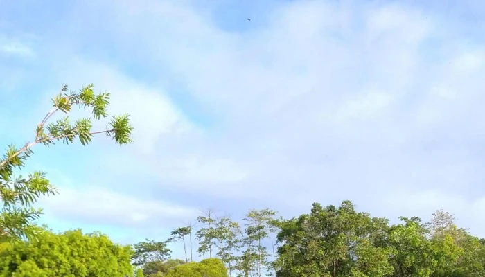 Taman Tasik Gua Musang -  Promosi - Gua Musang