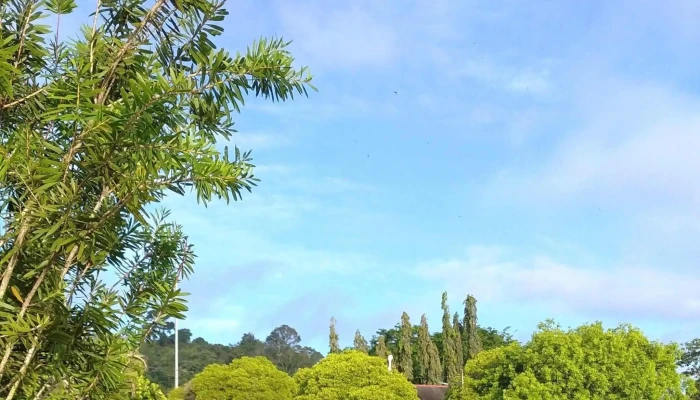 Taman Tasik Gua Musang -  Video - Gua Musang