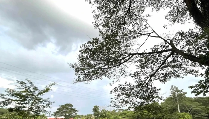 Taman Tasik Raub -  Diskaun - Raub