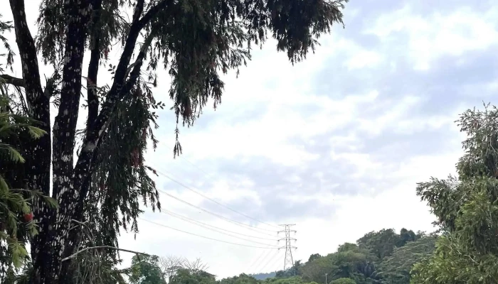 Taman Tasik Raub -  Katalog - Raub