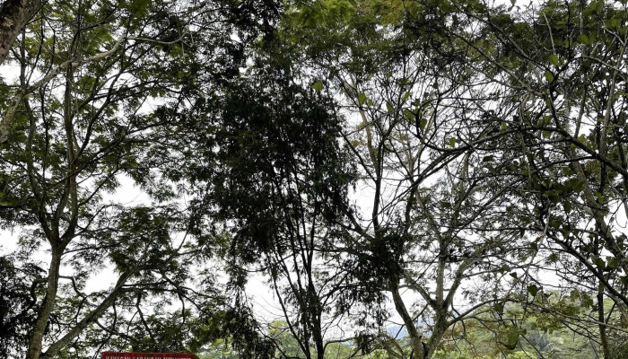 Taman Tasik Raub -  Raub - Raub