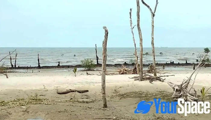 Tanjong Sepat -  Video - Tanjong Sepat