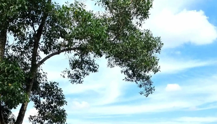 Tasik Biru Kundang -  Harga - Selangor