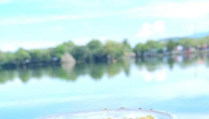 Tasik Biru Kundang -  Skor - Selangor