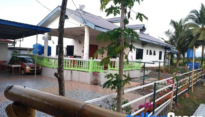 Taun Gusi Village Homestay -  Bahagian Luar - Kota Belud