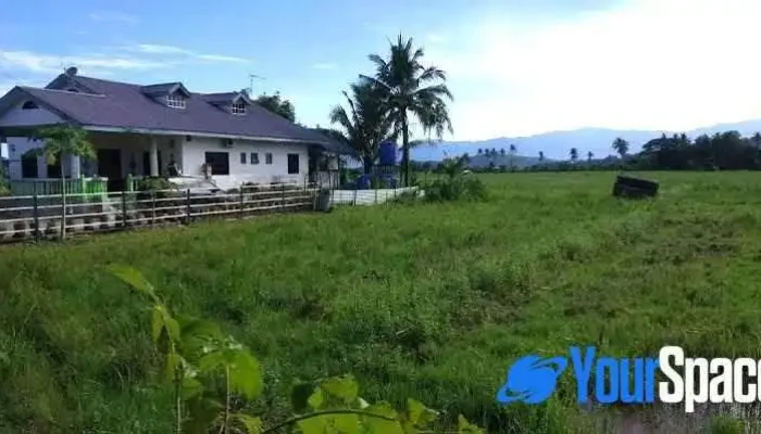 Taun Gusi Village Homestay - Kota Belud