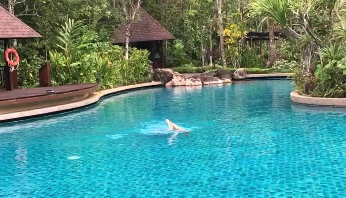 The Banjaran Hotsprings Retreat -  Video - Ipoh