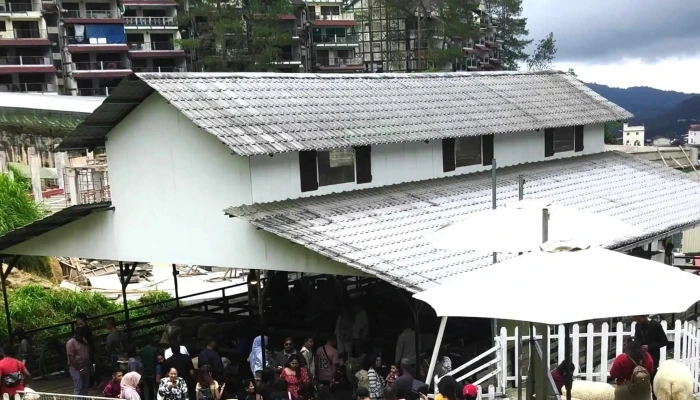 The Sheep Sanctuary - Brinchang