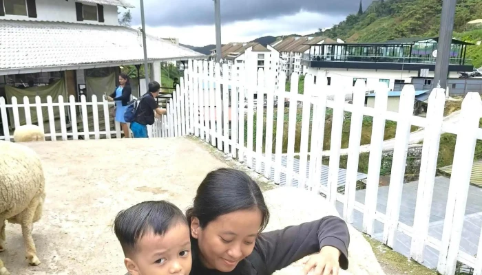 The Sheep Sanctuary -  Kawasan - Brinchang