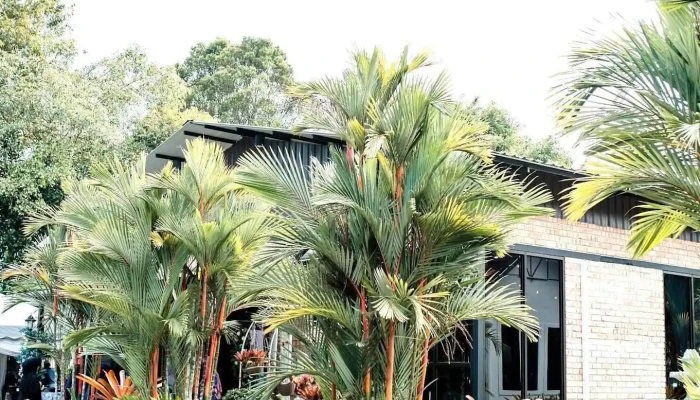 Tokma Homestay Kamunting - Perak
