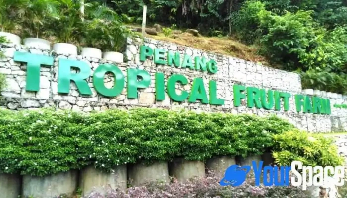 Tropical Fruit Farm - Stone